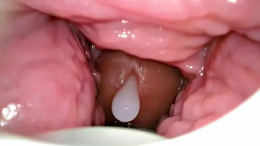 Imagen del video C&aacute;mara dentro del co&ntilde;o graba una corrida interna